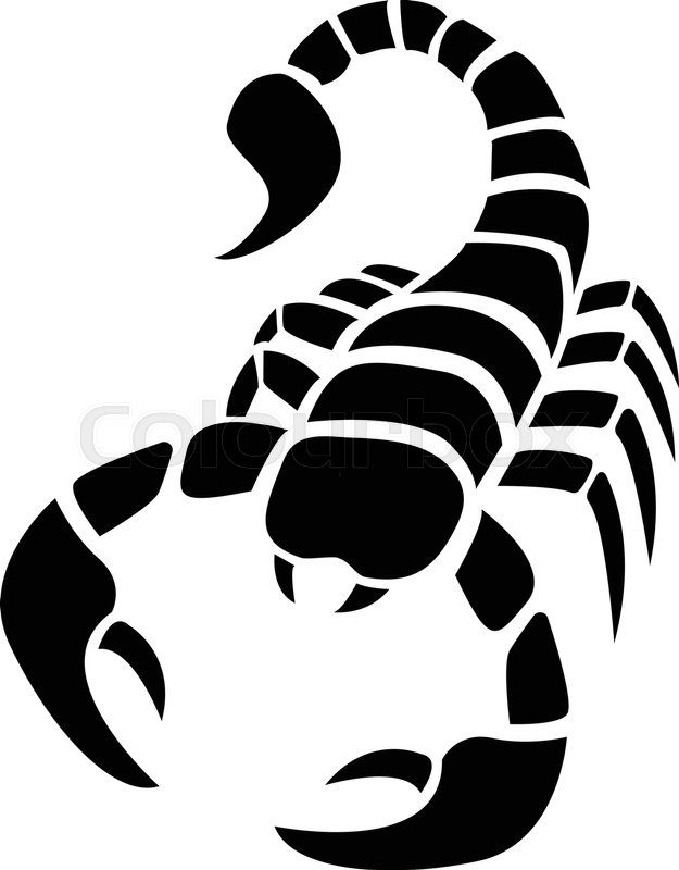 scorpion # 126166