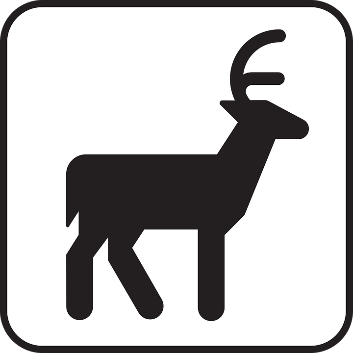 Antelope,Clip art,Goats,Cow-goat family,Chamois,Wildlife,Graphics,Deer,Tail,Goat