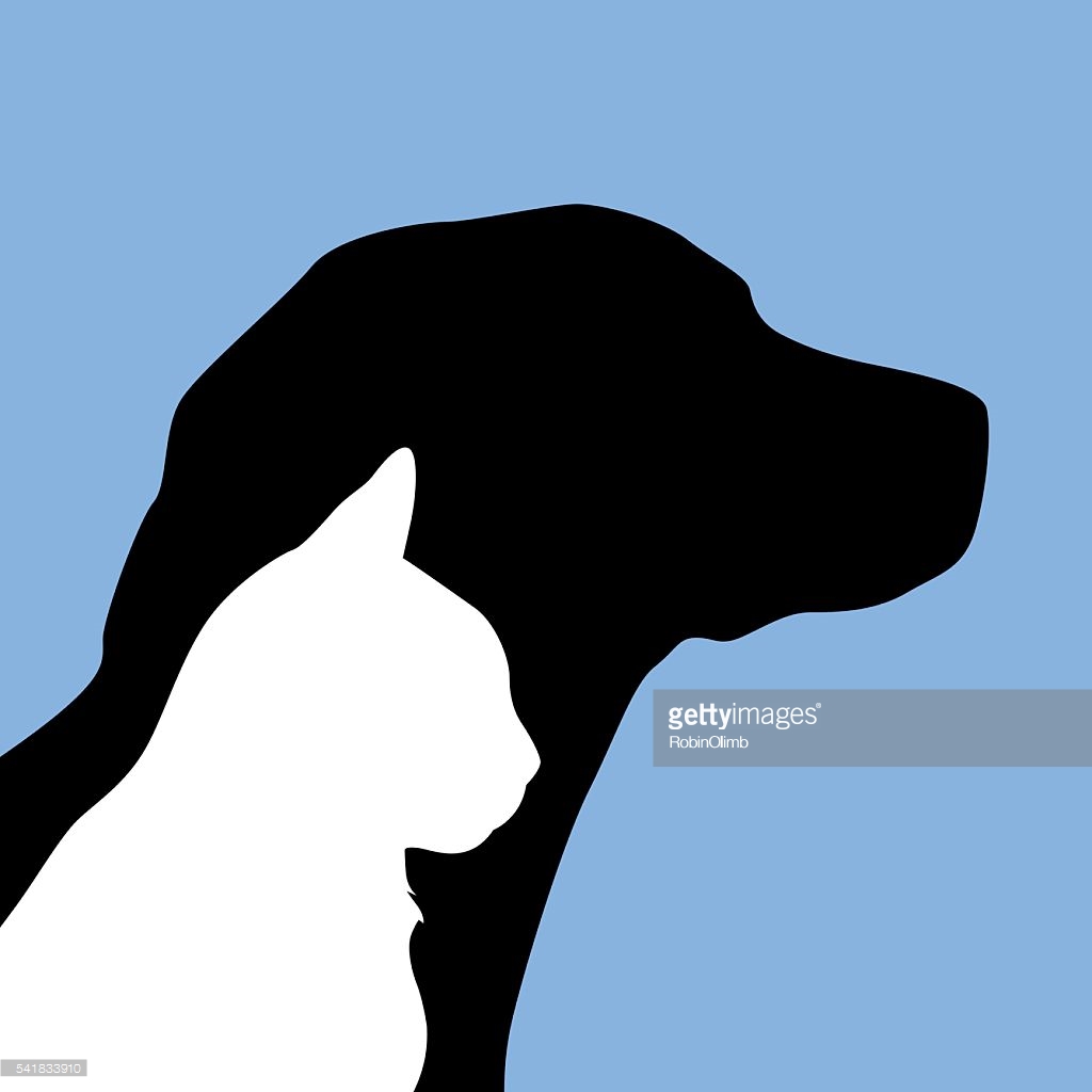 Pet Dog And Cat Icons And Symbols Vector Art | Getty Images