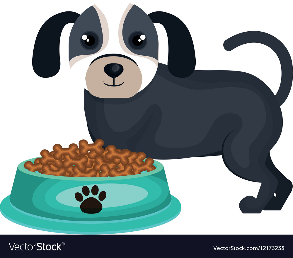 Pet-food icons | Noun Project
