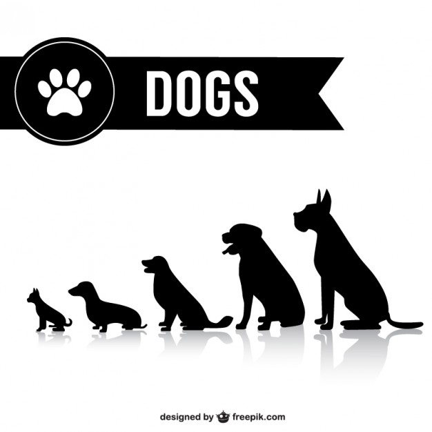 Dog Icons - 2,092 free vector icons