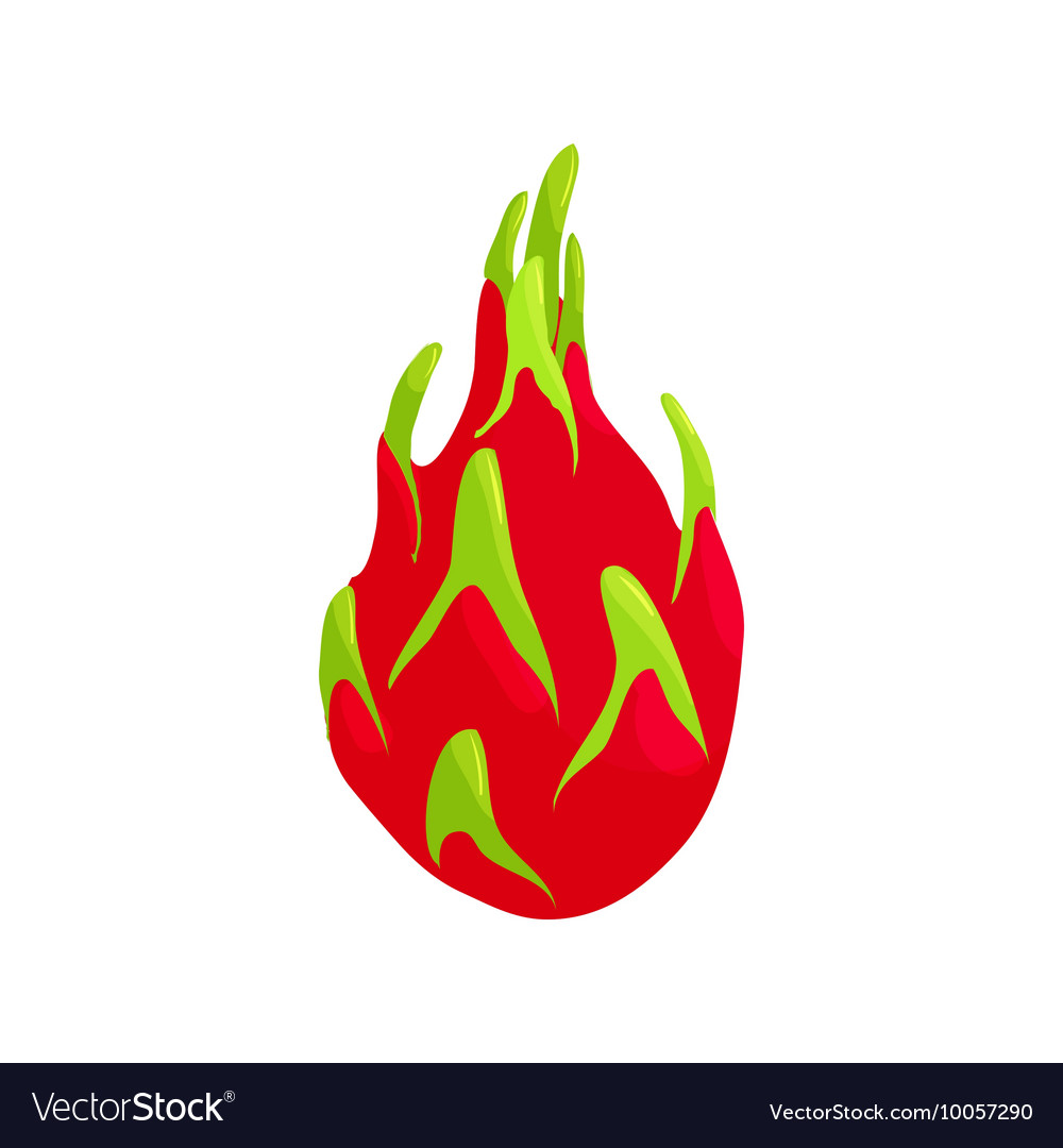 Dragon Fruit Whole Bright Icon Stock Vector - Illustration of 