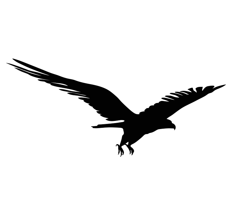 Animal, bird, eagle, head, security, shape, sign icon | Icon 