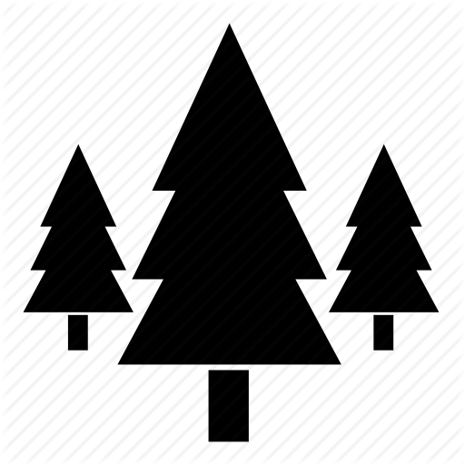 Christmas tree,Tree,oregon pine,Christmas decoration,Woody plant,Conifer,Evergreen,Pine,Pine family,Colorado spruce,Fir,White pine,Plant,Interior design,Illustration,Black-and-white,Triangle