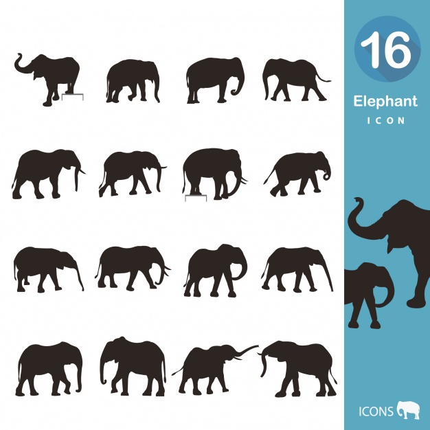 elephants-and-mammoths # 129598