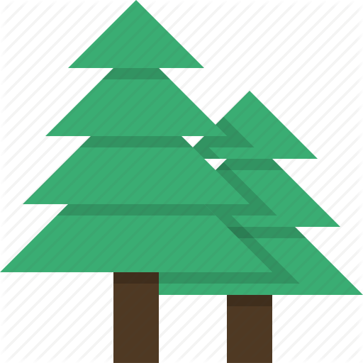 Christmas tree,oregon pine,Green,Christmas decoration,Tree,Pine,Line,Conifer,White pine,Pine family,Colorado spruce,Interior design,Fir,Evergreen