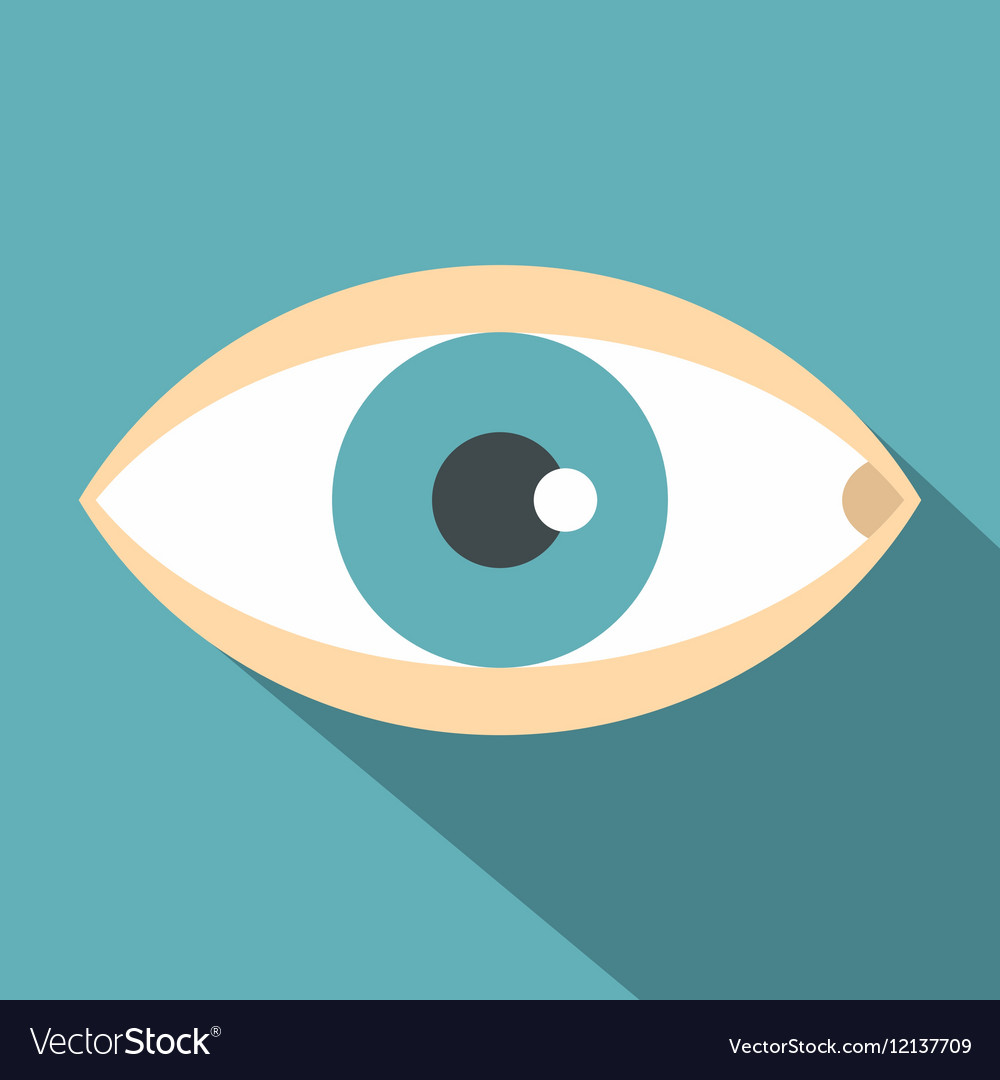 Eye Icon | Flatastic 9 Iconset | Custom Icon Design