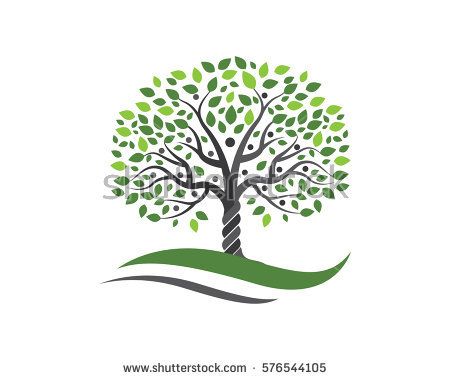 Family tree, flow chart, hierarchy, infographic, structure icon 