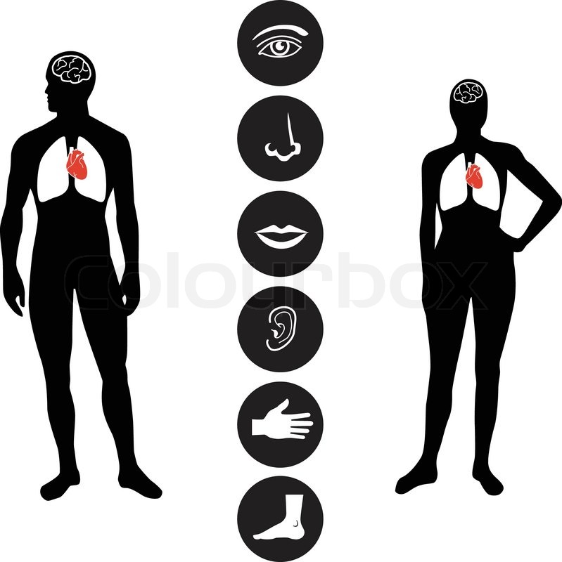 Vector Man and Woman icon on white background | Stock Vector 
