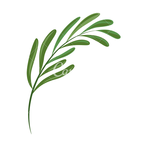 Check out new work on my @Behance portfolio: Fern Icon http://be 