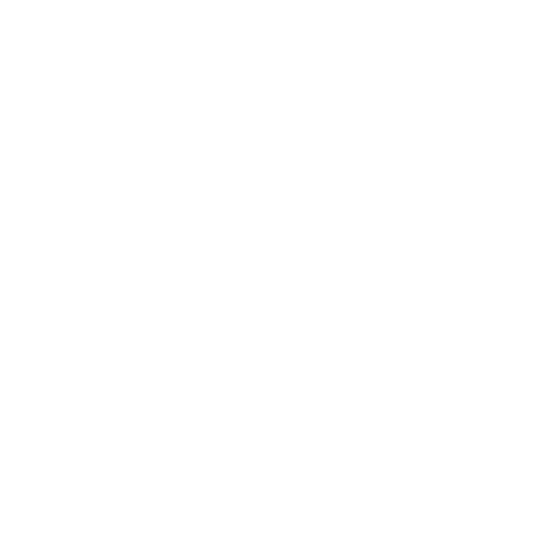 Checkered, finish, flag icon | Icon search engine