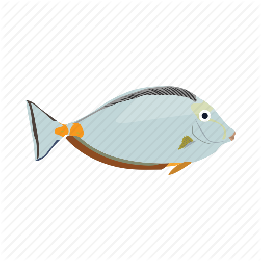 bony-fish # 132826