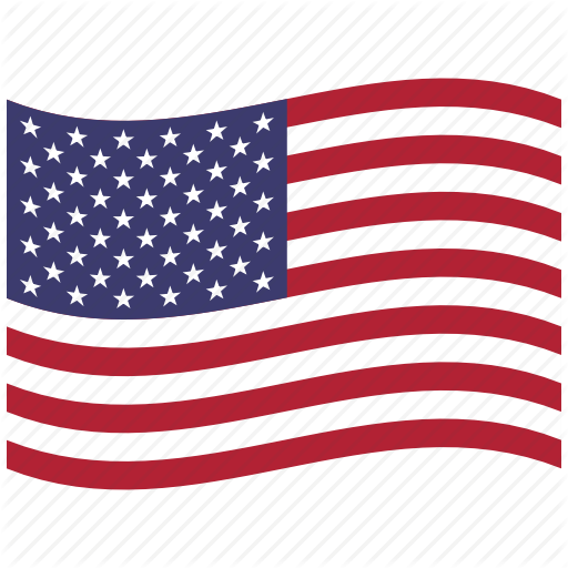 American Flag Icon Flag Vector Illustration Stock Vector 319150079 