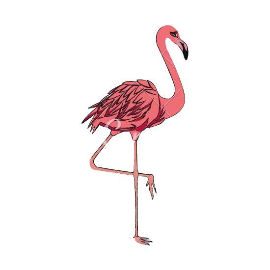 Flamingo Icon - Icons by Canva