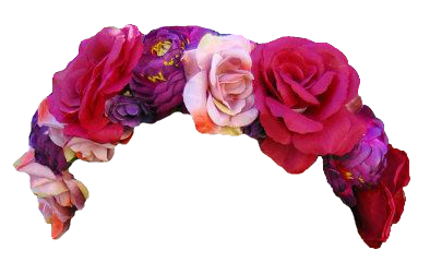 Pink,Violet,Petal,Purple,Flower,Cut flowers,Rose,Hair accessory,Plant,Fashion accessory,Rose family,Garden roses,Headgear,Magenta,Rose order,Artificial flower,Headband,Headpiece