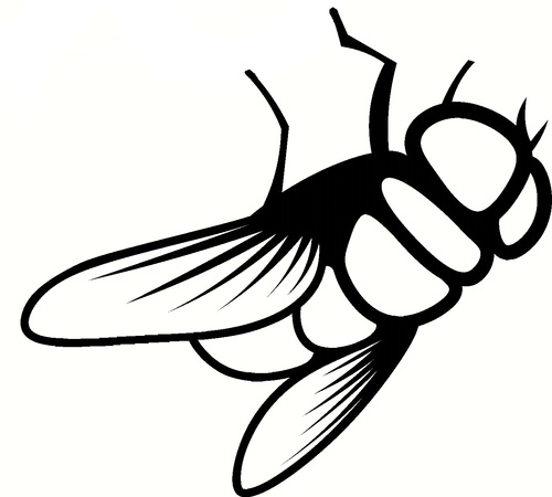 Simple Poop Fly Icon Isolated On Stock Vector 497684287 - 