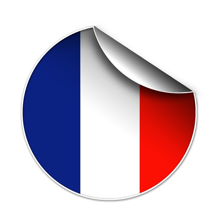The French Flag In The Form Of A Glossy Icon. Stock Photo, Picture 
