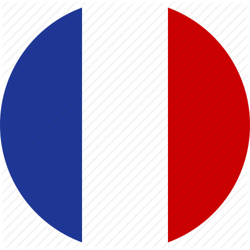 French Flag Icon #384333 - Free Icons Library