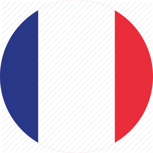 France Flag Icons Gifts on Zazzle