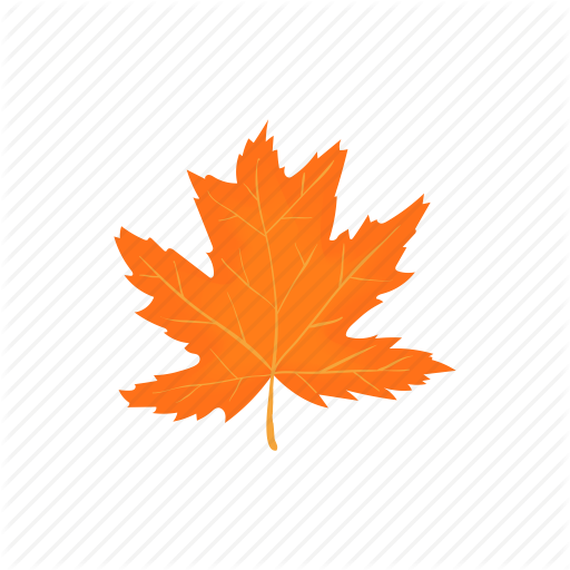 Leaf,Tree,Maple leaf,Black maple,Orange,Woody plant,Plant,Plane,Maple,Flowering plant,Deciduous,Plane-tree family,Autumn,Silver Maple,Soapberry family,Flower