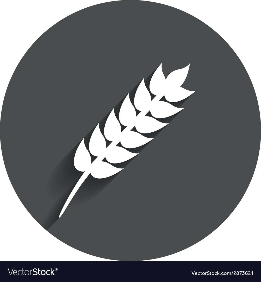 Gluten-free icons | Noun Project