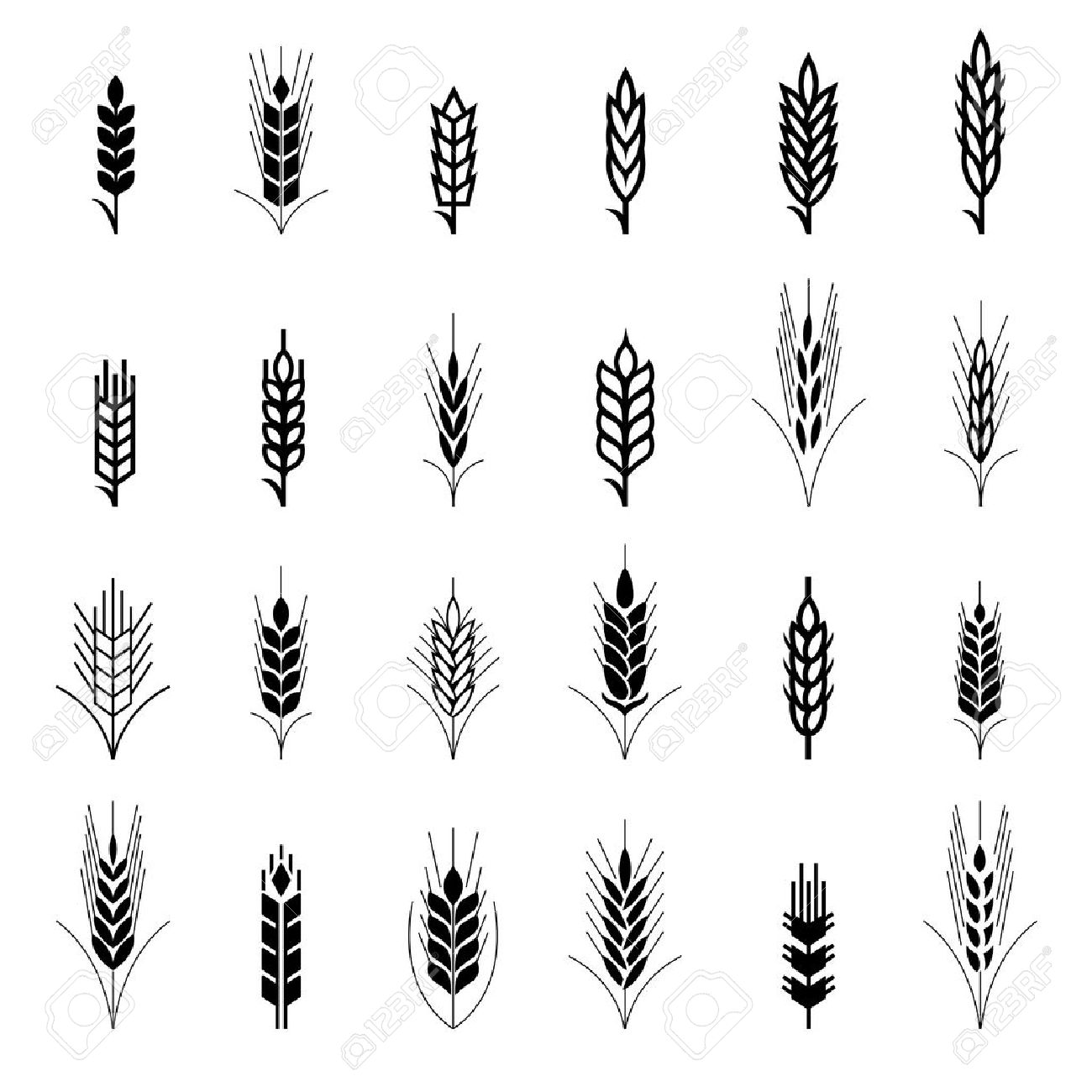 Durum wheat, ear of wheat, grain, wheat, wheat ear icon | Icon 