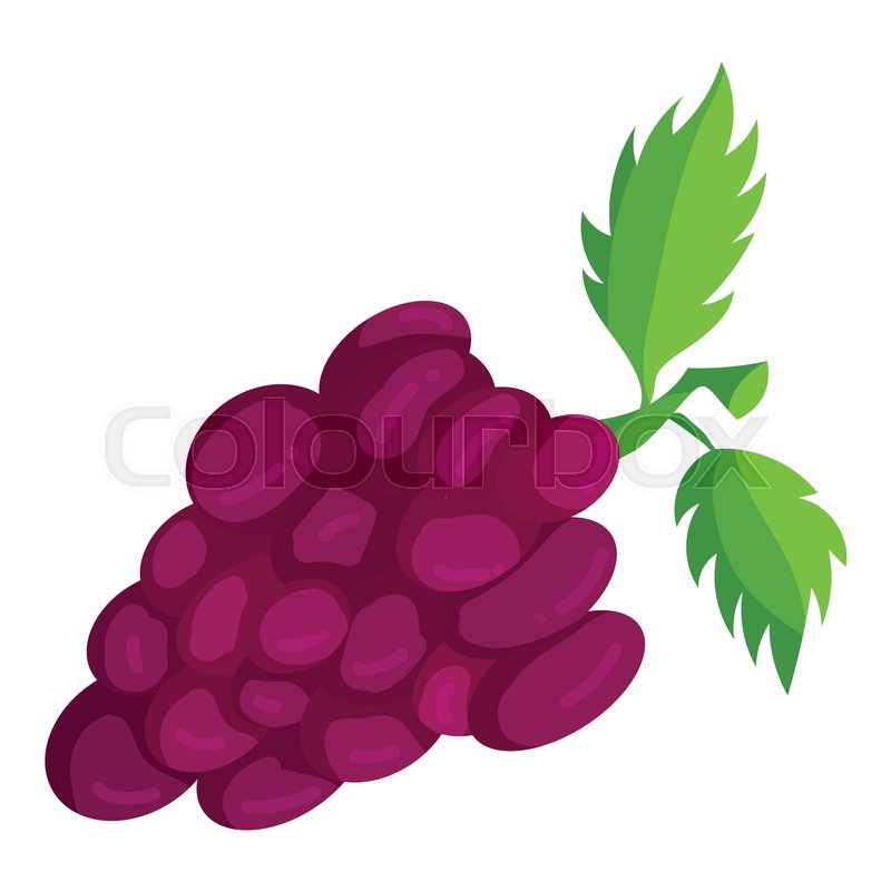 Plants Grapes Icon | Android Iconset 