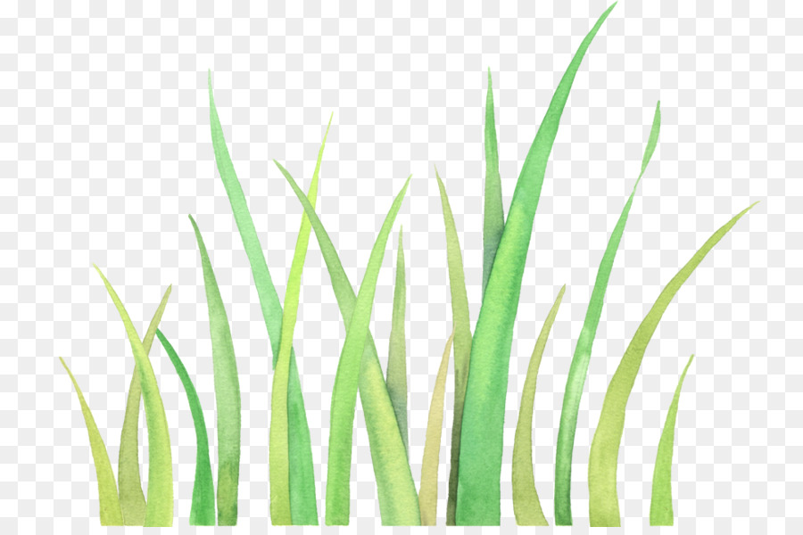 Grass icons | Noun Project