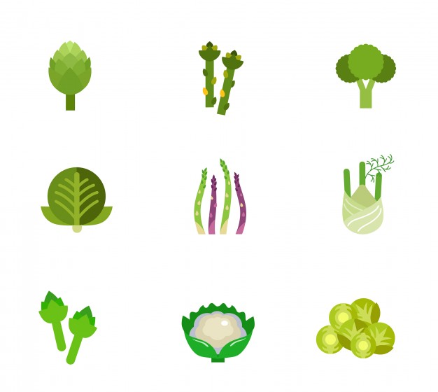 Green,Leaf,Plant,Clip art
