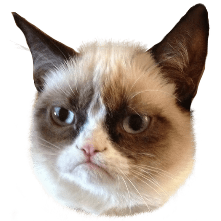 Cat, emoji, frown, grumpy, kitten, meme, sad icon | Icon search engine