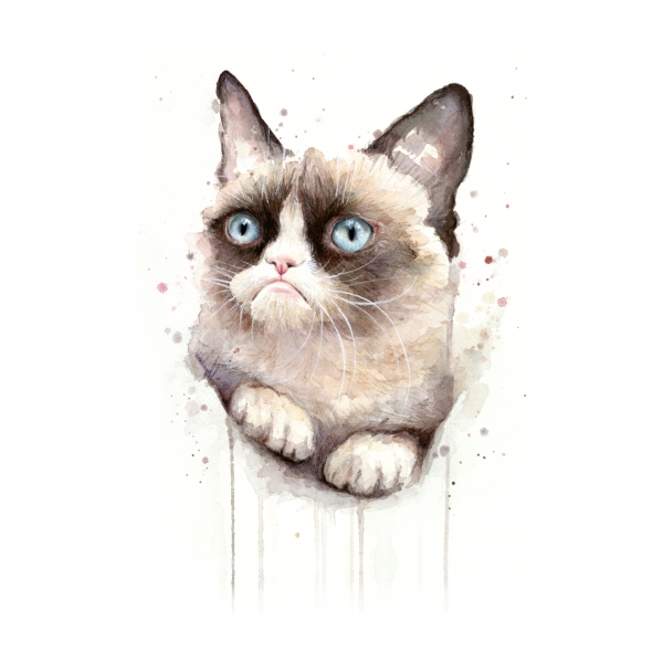 Cat,Small to medium-sized cats,Felidae,Whiskers,Kitten,Ragdoll,Carnivore,Birman,Snout,Ojos azules,Siamese,Snowshoe,Illustration,Domestic short-haired cat,Thai,Drawing,Paw,Fawn