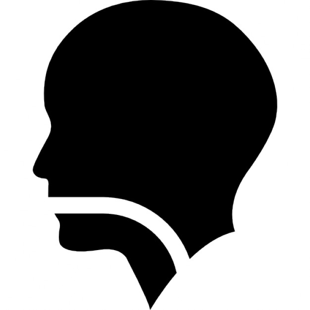 Human head silhouette with a line in mouth pharynx and larynx 