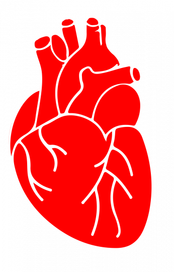 Icon insurance heart health design vector illustration eps 