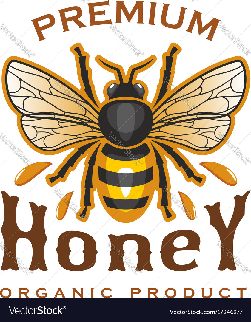 Honey-bee icons | Noun Project