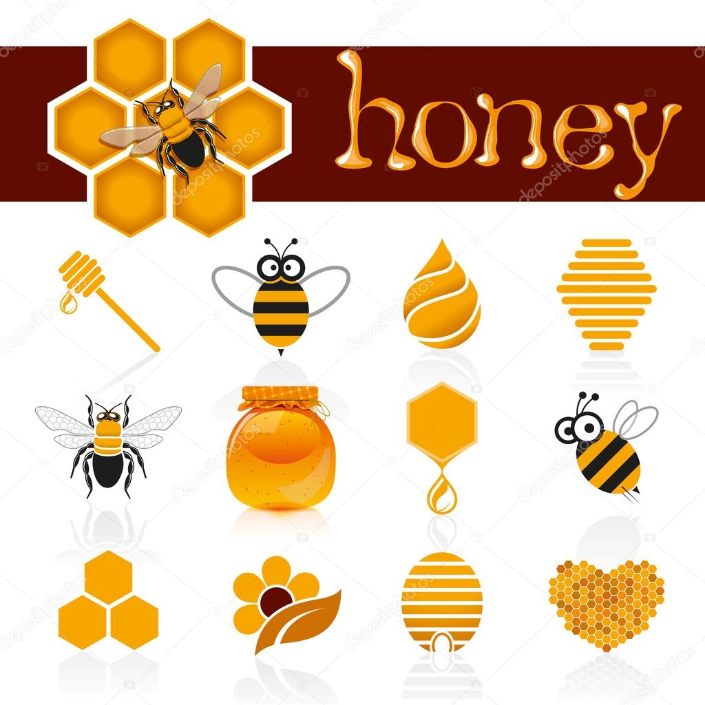 Honey Bee Icon Set by macrovector | GraphicRiver