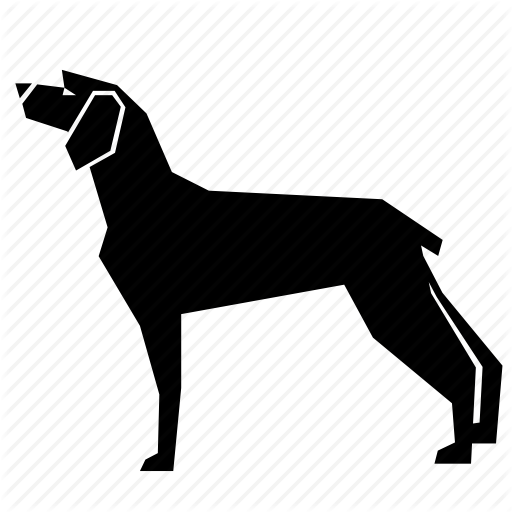 Dog,Mammal,Vertebrate,Canidae,Dog breed,Carnivore,Sporting Group,Working dog,Montenegrin mountain hound,Hunting dog,Vizsla,Silhouette,Weimaraner,English foxhound