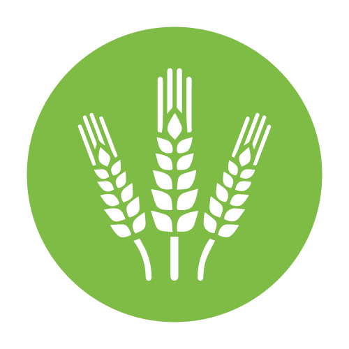 Agriculture icons | Noun Project