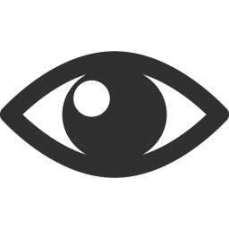 Blue, circle, eye, eyeball, eyes, see, vision icon | Icon search 