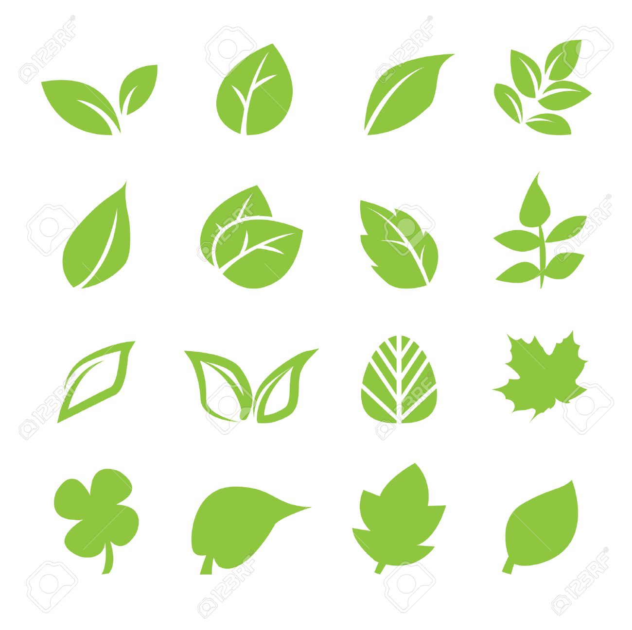 properties, leaves, natural, nature, herbs, Healing, spa, plant 