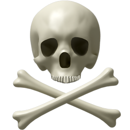 Skull and Crossbones Icon ~ Icons ~ Creative Market