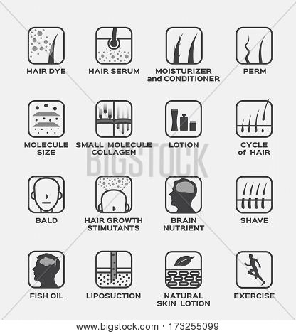 Skin layers with hair follicles Icons | Free Download