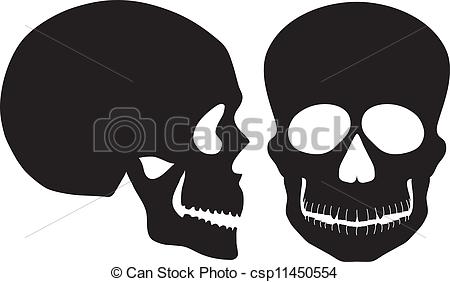 Scary Skulls Set - Download Free Vector Art, Stock Graphics  Images