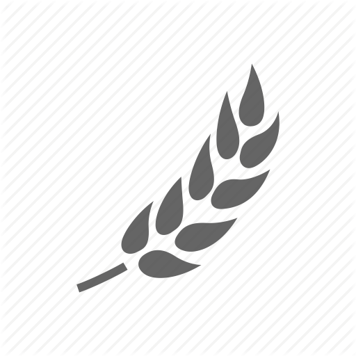 Barley, wheat icon | Icon search engine