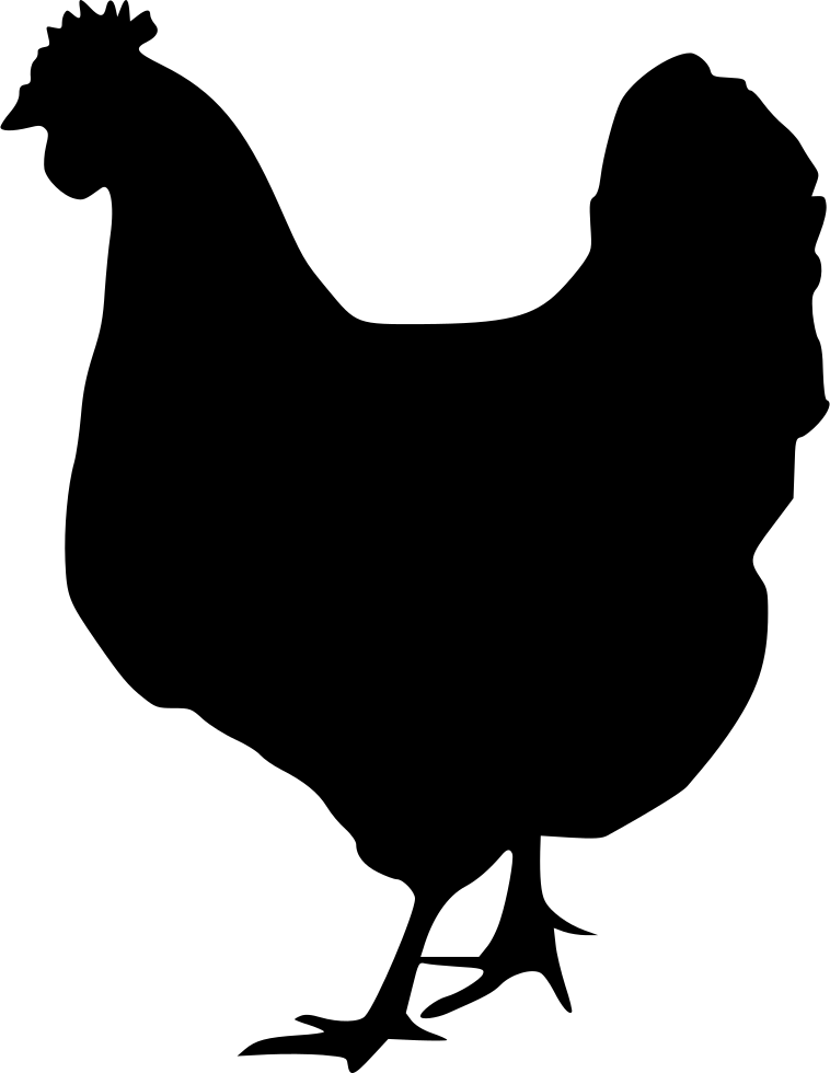 Chicken,Rooster,Bird,Clip art,Galliformes,Beak,Fowl,Livestock,Comb,Poultry,Graphics,Black-and-white