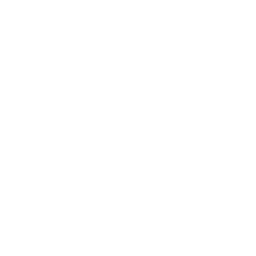 App Adobe Indesign icon free download as PNG and ICO formats 
