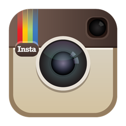 Social Media Icons - Individual (Circular) - Instagram | eBay