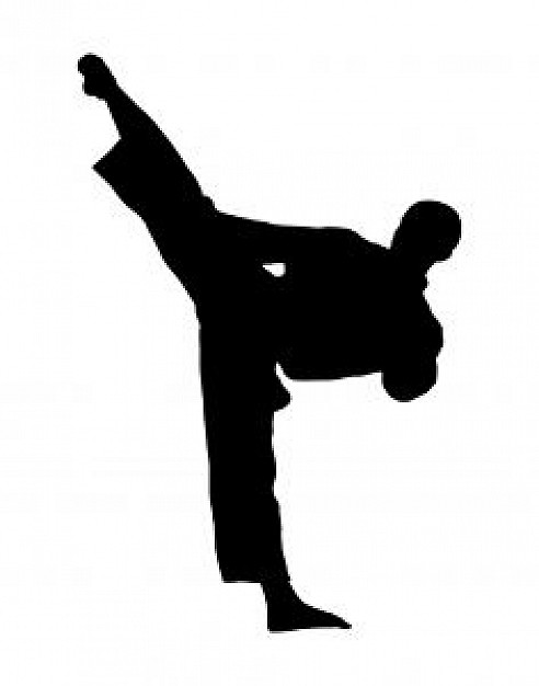 Judo, karate, kungfu, martial art, master, tae kwan do, yin yang 