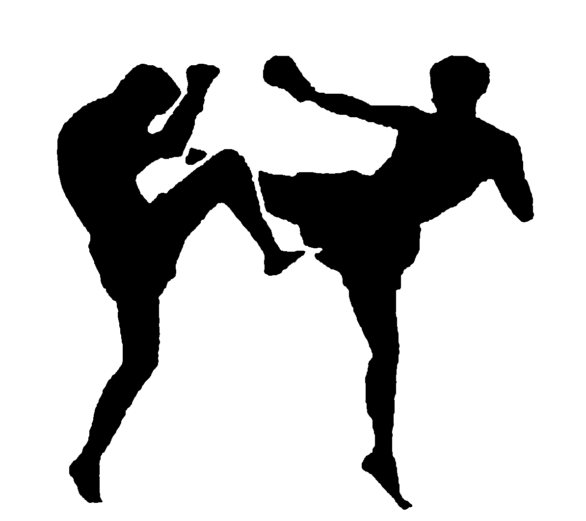 Kick,Athletic dance move,Kickboxing,Muay thai,Strike,Sports,Karate,Contact sport,Silhouette,Individual sports,Capoeira,Taekwondo,Dancer