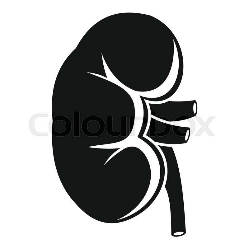 Kidney icons | Noun Project
