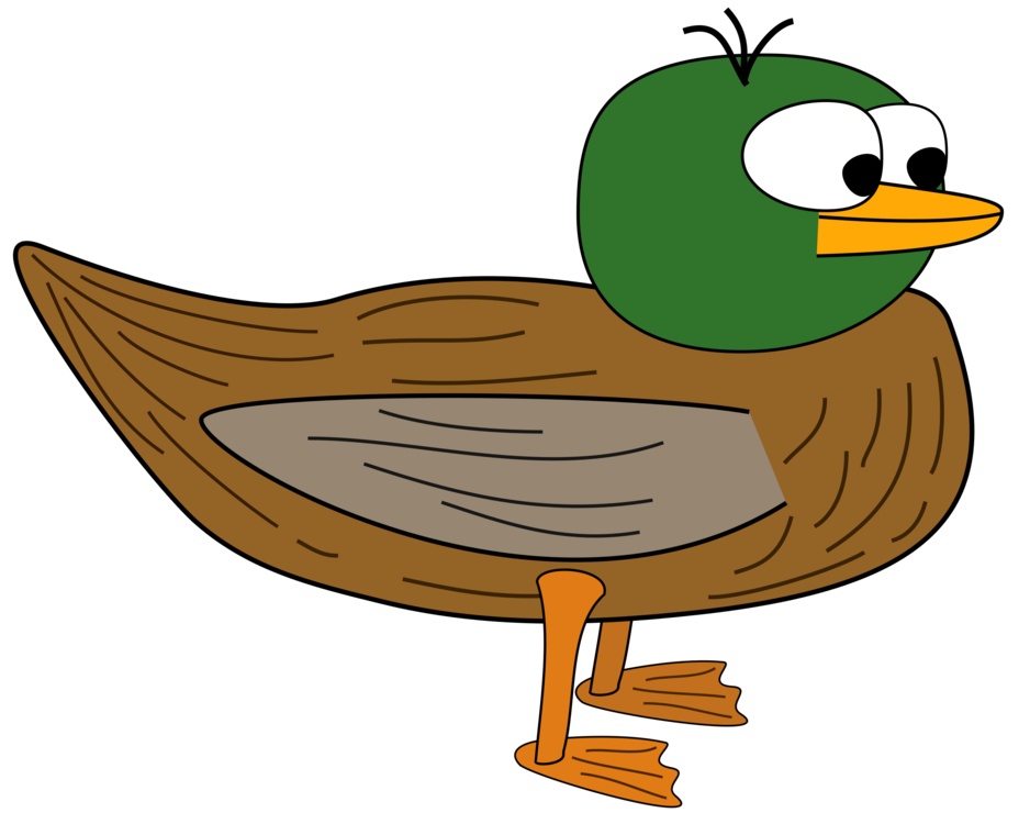 american-black-duck # 151855